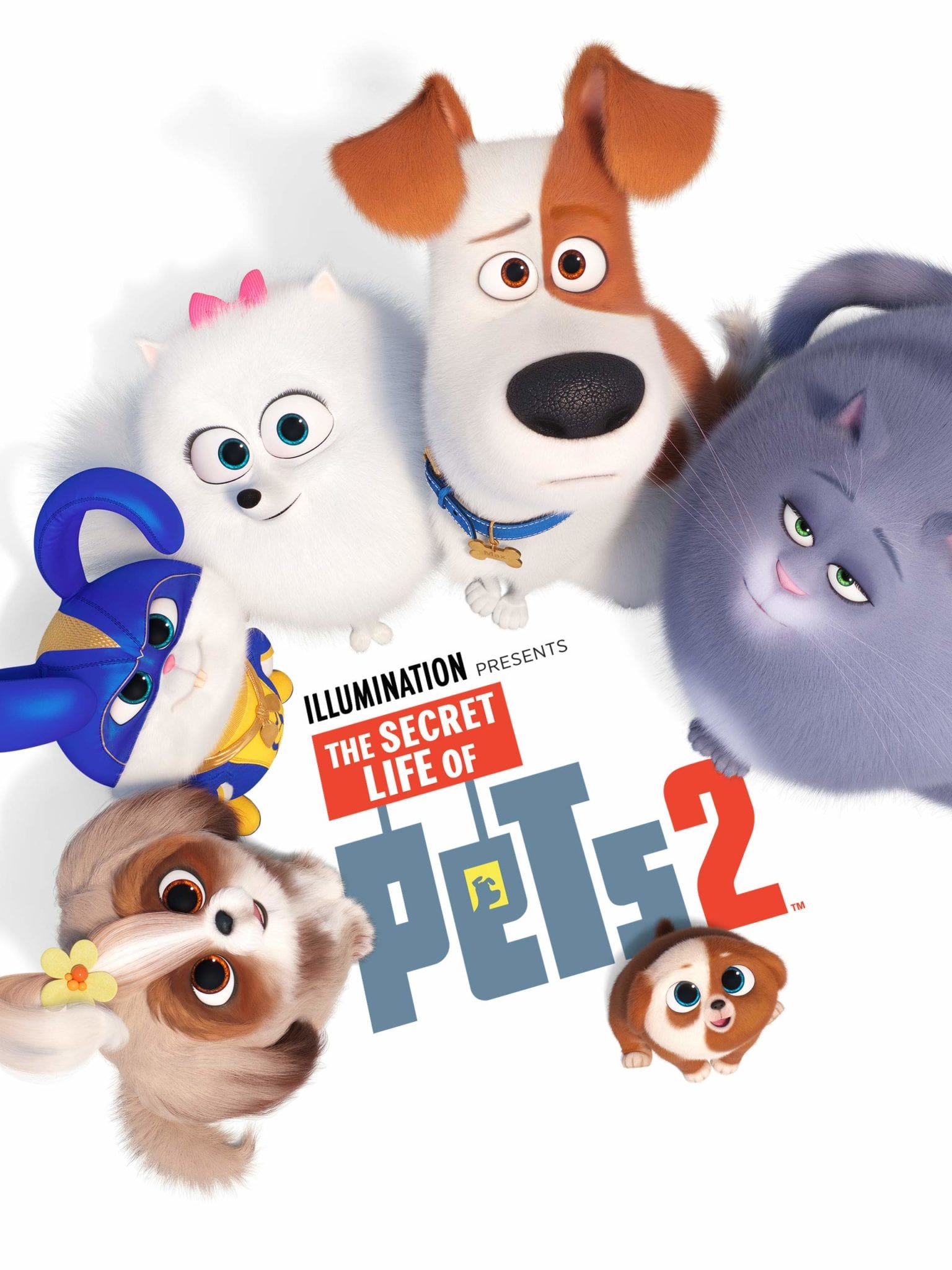 The Secret Life of Pets 2 Movies Under The Stars